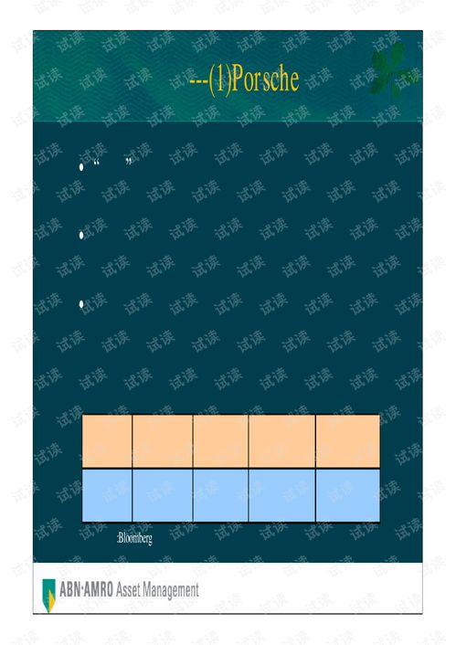荷銀投資管理公司全球首選投資策略商業(yè)計劃書精品模板.pdf
