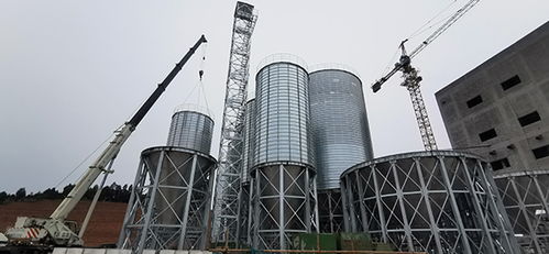 蒼溪縣總投資1.2億元飼料加工廠預計二季度試生產